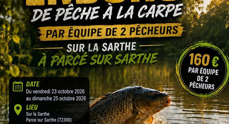 Enduro pêche de la carpe