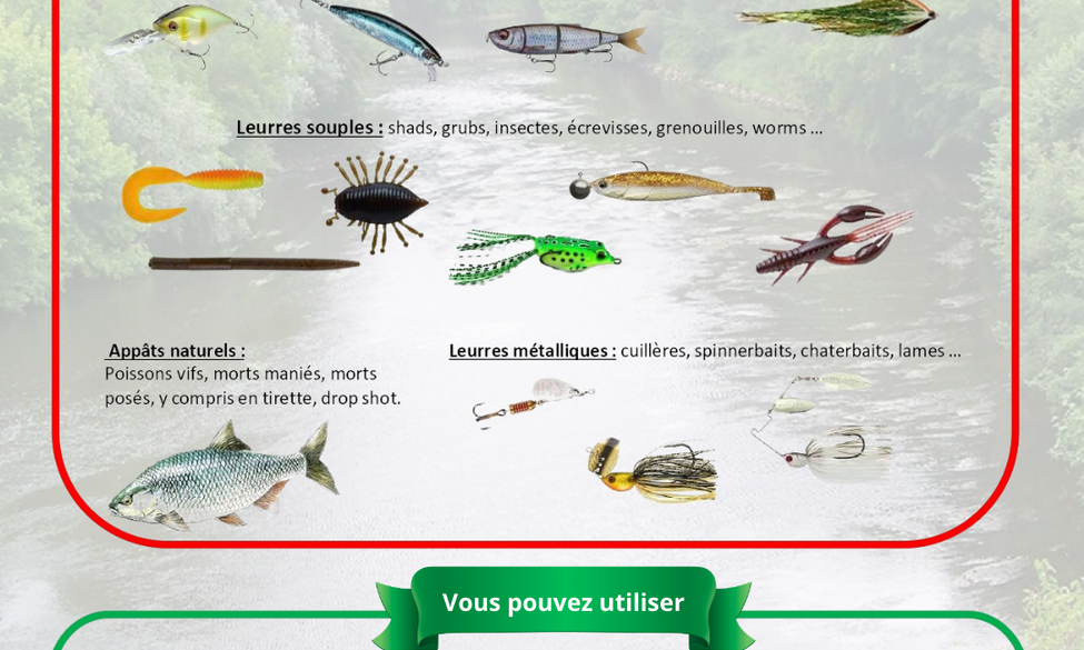 Modes de pêche interdits et autorisés pendant la période de fermeture de la pêche du brochet
