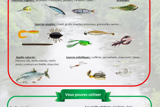 Modes de pêche interdits et autorisés pendant la période de fermeture de la pêche du brochet