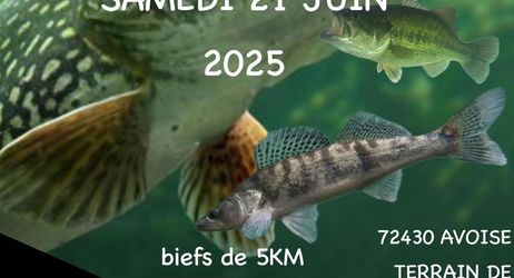 Concours de pêche du carnassier en bateau 